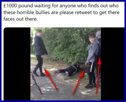 1k reward for capturing these Earth Bullies Watch and Circulate and name